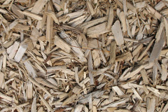 biomass boilers Bicknoller